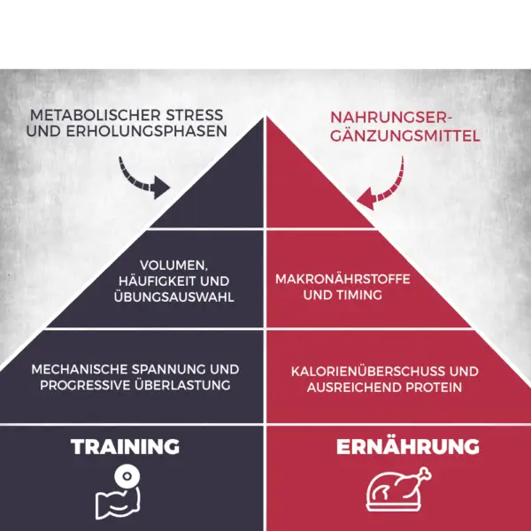 pirámide de ganancia muscular aleman